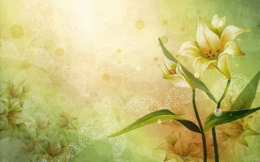 479802 (a): :1920x1200